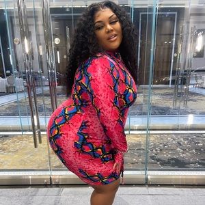 Plus Size Multi- colored dress ( All In Place Dress ) Worn Once!